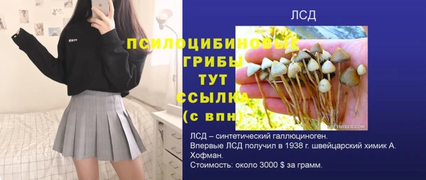 винт Арсеньев