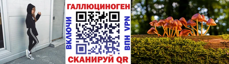 Купить  Белебей  Галлюциногенные грибы MAGIC MUSHROOMS 